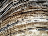 Copy (2) of ipod pics 047.jpg