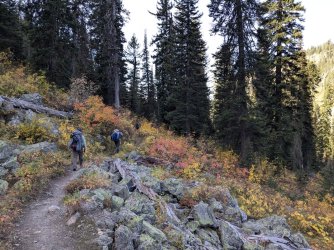 PXL_20240930_165746954.jpg PXL_20240930_165746954.jpg