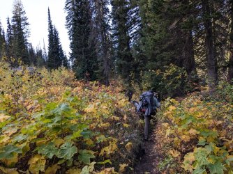 PXL_20240930_170503280.jpg PXL_20240930_170503280.jpg