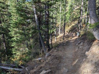 PXL_20240930_223451345.jpg PXL_20240930_223451345.jpg