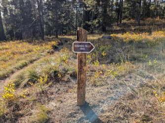 PXL_20240930_223552671.jpg PXL_20240930_223552671.jpg