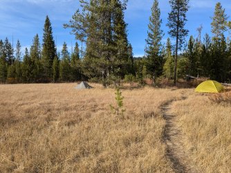 PXL_20240930_231045651.MP.jpg PXL_20240930_231045651.MP.jpg