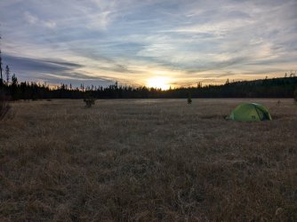 PXL_20241001_005419870.jpg PXL_20241001_005419870.jpg