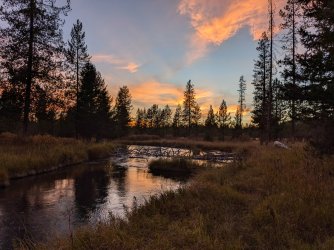 PXL_20241001_011520873.jpg PXL_20241001_011520873.jpg