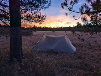 PXL_20241001_012032272.jpg PXL_20241001_012032272.jpg