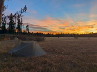 PXL_20241001_012057311~2.jpg PXL_20241001_012057311~2.jpg