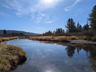 PXL_20241001_161718753.jpg PXL_20241001_161718753.jpg