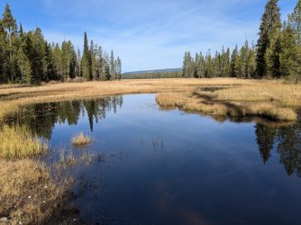 PXL_20241001_164736126.MP.jpg PXL_20241001_164736126.MP.jpg