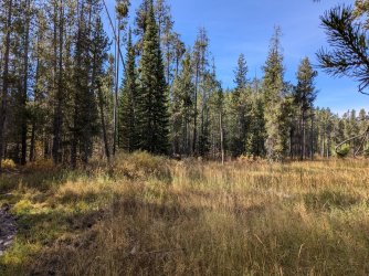 PXL_20241001_170529741.jpg PXL_20241001_170529741.jpg