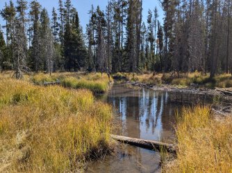 PXL_20240928_192739139.MP.jpg PXL_20240928_192739139.MP.jpg