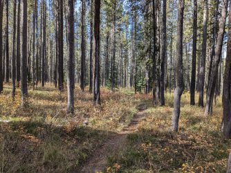 PXL_20241001_165629291.MP.jpg PXL_20241001_165629291.MP.jpg