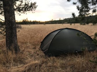 IMG_4981.jpeg IMG_4981.jpeg