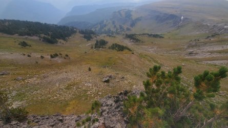 20210826_103935.jpg 20210826_103935.jpg