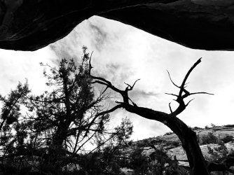 IMG_6233.jpeg IMG_6233.jpeg