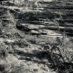 IMG_6237.jpeg IMG_6237.jpeg