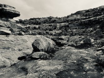 IMG_6243.jpeg IMG_6243.jpeg