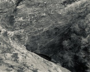 IMG_6246.jpeg IMG_6246.jpeg