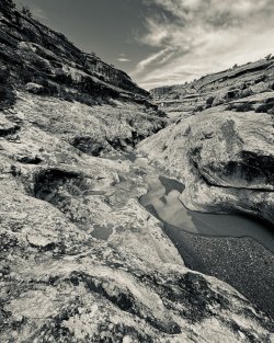 IMG_6249.jpeg IMG_6249.jpeg