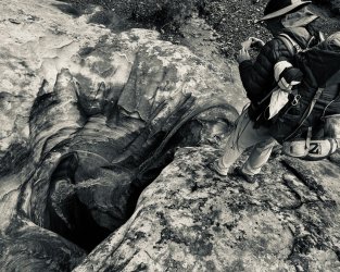 IMG_6251.jpeg IMG_6251.jpeg