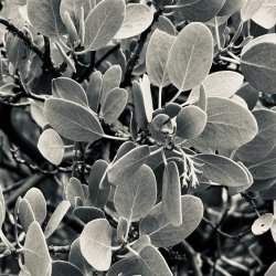 IMG_6256.jpeg IMG_6256.jpeg