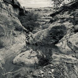 IMG_6260.jpeg IMG_6260.jpeg