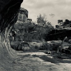 IMG_6269.jpeg IMG_6269.jpeg