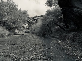 IMG_6271.jpeg IMG_6271.jpeg