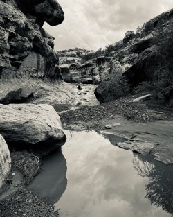 IMG_6274.jpeg IMG_6274.jpeg