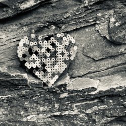 IMG_6278.jpeg IMG_6278.jpeg