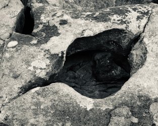 IMG_6282.jpeg IMG_6282.jpeg