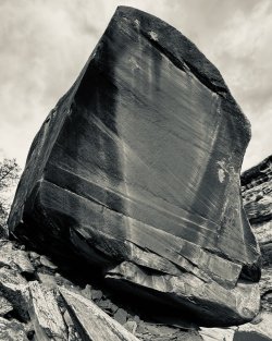 IMG_6288.jpeg IMG_6288.jpeg