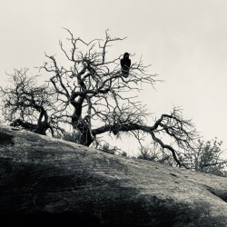 IMG_6290.jpeg IMG_6290.jpeg