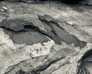 IMG_6296.jpeg IMG_6296.jpeg