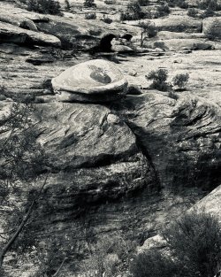 IMG_6298.jpeg IMG_6298.jpeg