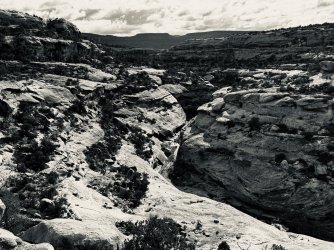 IMG_6299.jpeg IMG_6299.jpeg