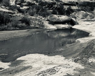 IMG_6305.jpeg IMG_6305.jpeg