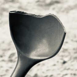 IMG_6308.jpeg IMG_6308.jpeg