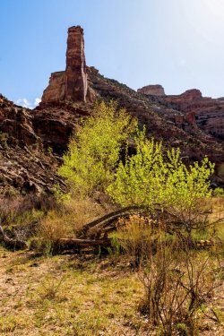 Swell 4-2025-05789-EDIT.jpg Swell 4-2025-05789-EDIT.jpg