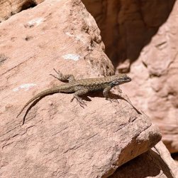 IMG_1756 Copy.JPG IMG_1756 Copy.JPG