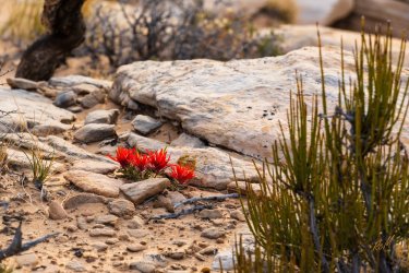 Swell 4-2025-05651.jpg Swell 4-2025-05651.jpg