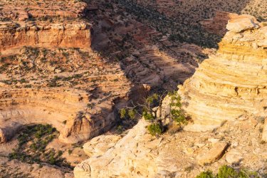 Swell 4-2025-05673.jpg Swell 4-2025-05673.jpg