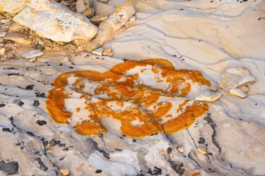 Swell 4-2025-05676.jpg Swell 4-2025-05676.jpg