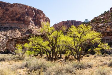 Swell 4-2025-05684.jpg Swell 4-2025-05684.jpg