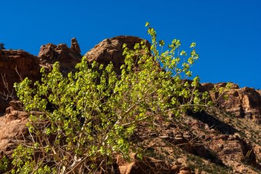 Swell 4-2025-05691.jpg Swell 4-2025-05691.jpg