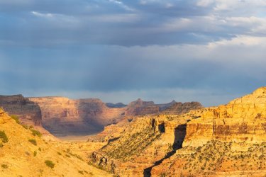 Swell 4-2025-05817.jpg Swell 4-2025-05817.jpg