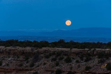 Swell 4-2025-05620.jpg Swell 4-2025-05620.jpg