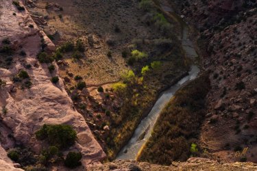 Swell 4-2025-05680.jpg Swell 4-2025-05680.jpg