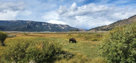 20240916_111919.jpg 20240916_111919.jpg