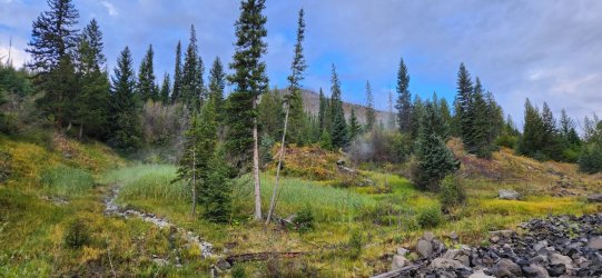 20240917_075200.jpg 20240917_075200.jpg