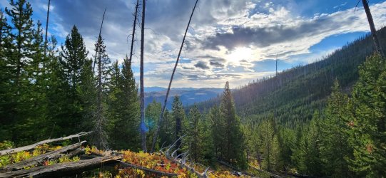 20240917_083152.jpg 20240917_083152.jpg